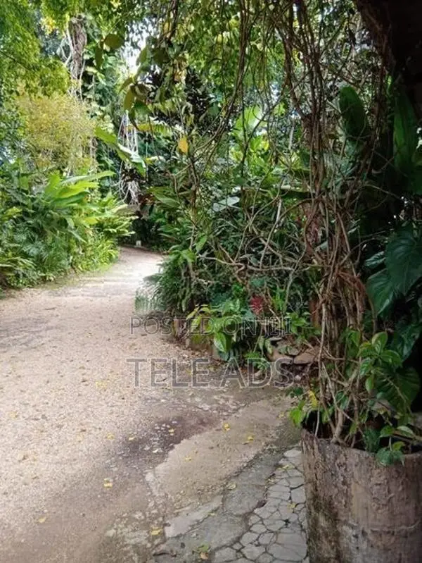 House with Land for Sale in Bandarawela