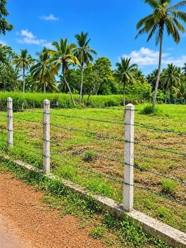 Anamaduwa 48 Perches Land For Sale (Sspl-551)