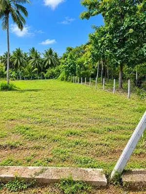 Anamaduwa 48 Perches Land For Sale (Sspl-551)
