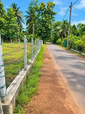 Anamaduwa 48 Perches Land For Sale (Sspl-551)
