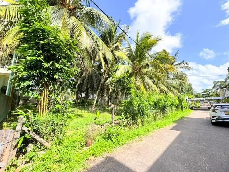 8P , 16P & 24P Lands For Sale Kottawa Rukmalgama - Rayners Range Schem