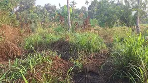 Land for Sale in Ganemulla, Ja-Ela