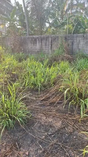Land for Sale in Ganemulla, Ja-Ela