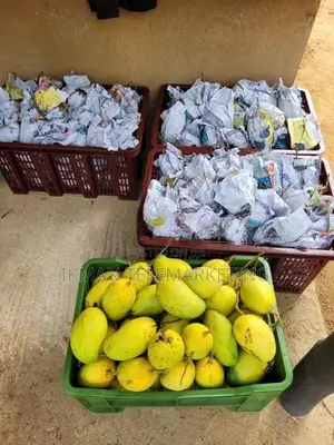 TJC Mango Land for Sale in Bata Atha, Hungama