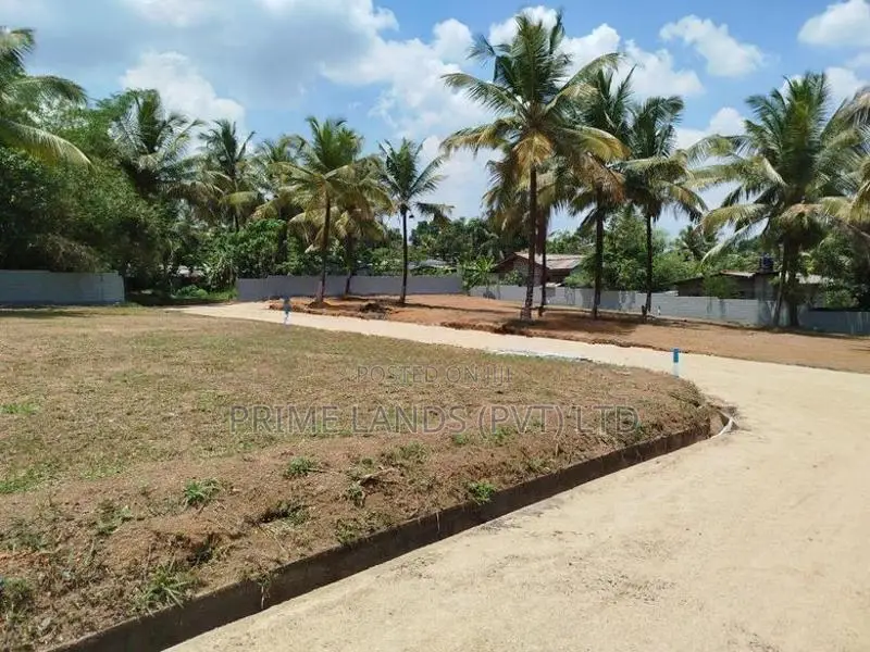 ගොඩගම හන්දියට ආසන්නව බිම් කොටස් විකිණීමට ..