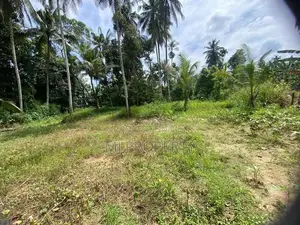 ( TS-1314) Valuable Residential Bare Land Sale In Hanwella