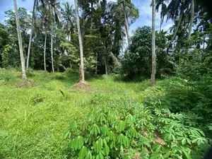 ( TS-1314) Valuable Residential Bare Land Sale In Hanwella