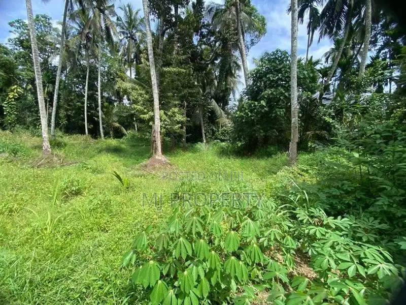 ( TS-1314) Valuable Residential Bare Land Sale In Hanwella