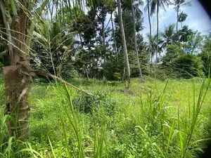 ( TS-1314) Valuable Residential Bare Land Sale In Hanwella