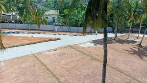 වැදගත් පරිසරයක පදිංචි වෙන්න මීගමුව කොච්චිකඩේ