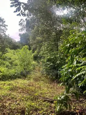 Land for Sale in Nawalapitiya