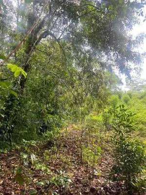 Land for Sale in Nawalapitiya