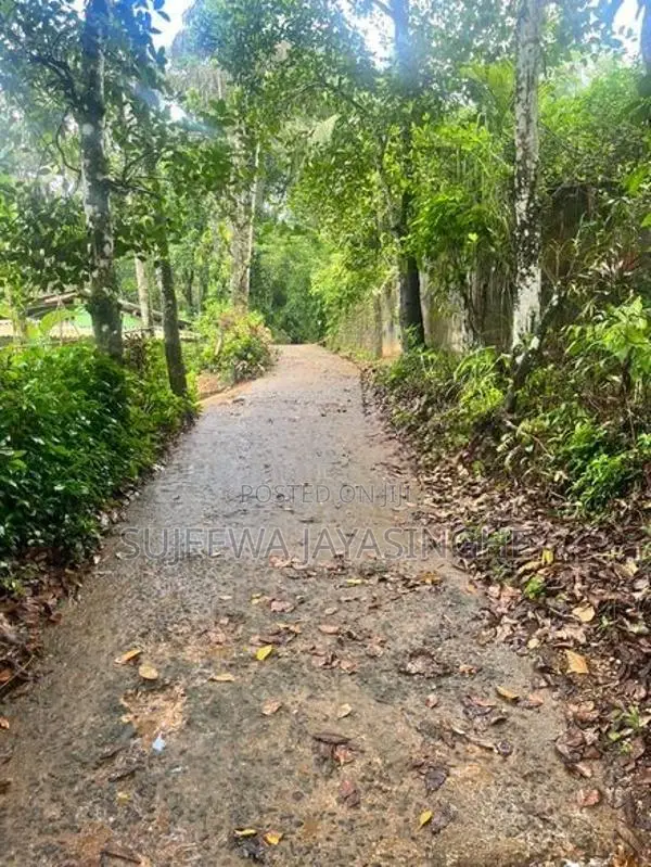 Land for Sale in Nawalapitiya