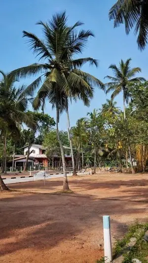 Land for Sale in Watareka