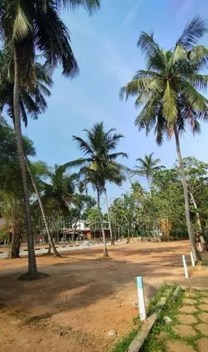 Land for Sale in Watareka