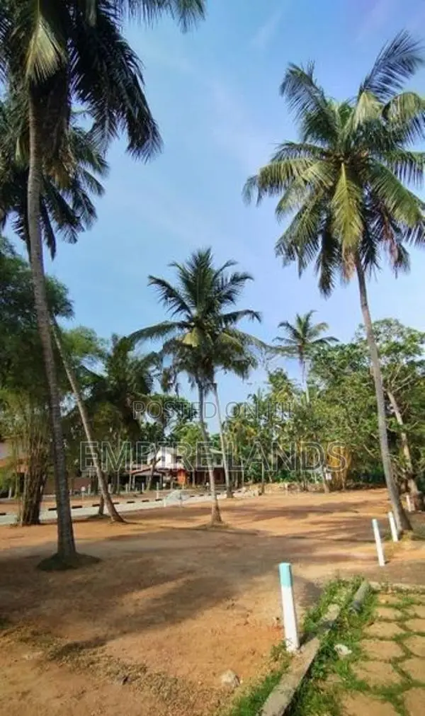 Land for Sale in Watareka