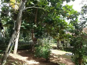 කඩවත, කිරිල්ලවල නිවසක් විකිණීමට