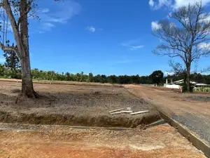 රත්ගම මාවඩවිලෙන් බිම් කොටස්