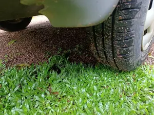 13TyreAndRimLagaThaw for All