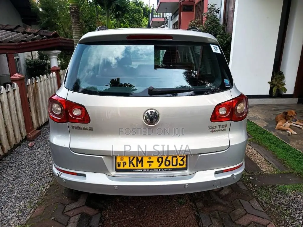Volkswagen Tiguan 2011 SUV (Used)