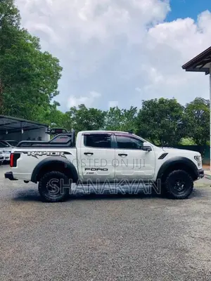 Ford Raptor 2017 Pickup (Used)