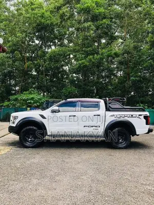 Ford Raptor 2017 Pickup (Used)