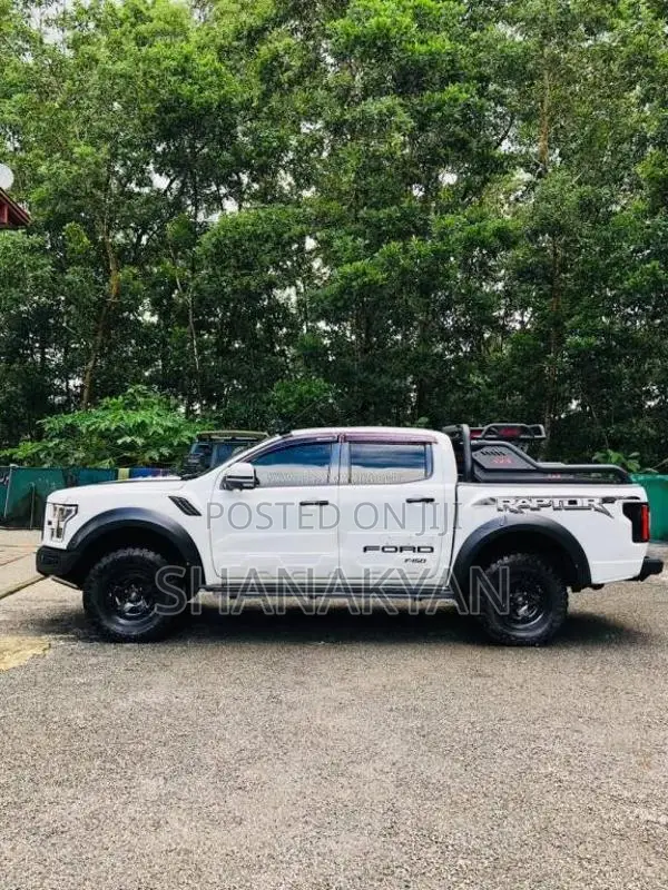 Ford Raptor 2017 Pickup (Used)