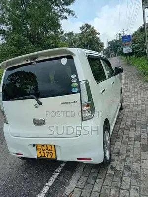 Suzuki Wagon R 2014 Car (Used)