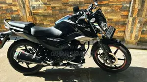 TVS Raider 125 2024 Motorbike (Used)
