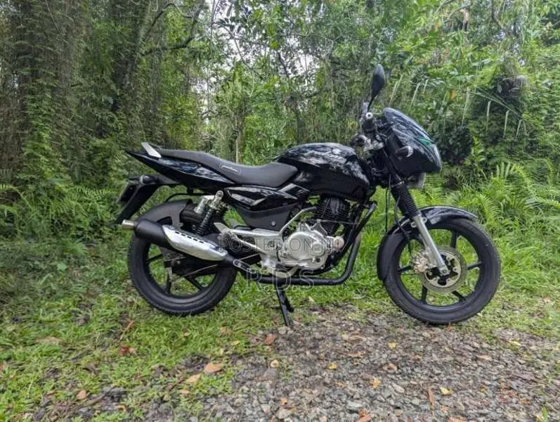 Bajaj Pulsar 150 2008 Motorbike (Used)