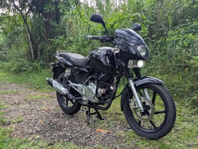 Bajaj Pulsar 150 2008 Motorbike (Used)