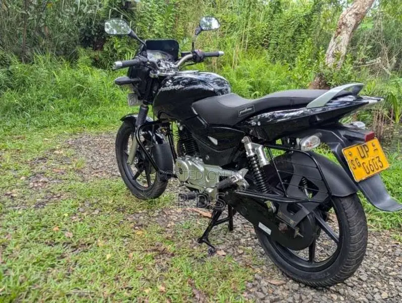 Bajaj Pulsar 150 2008 Motorbike (Used)