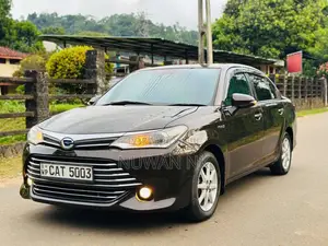 Toyota Axio G Grade 2016 Car (Used)