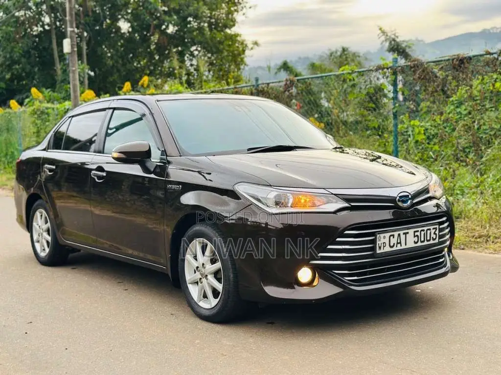 Toyota Axio G Grade 2016 Car (Used)