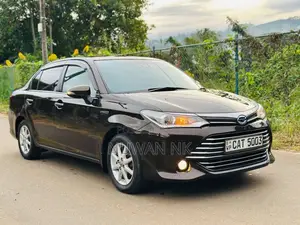 Toyota Axio G Grade 2016 Car (Used)