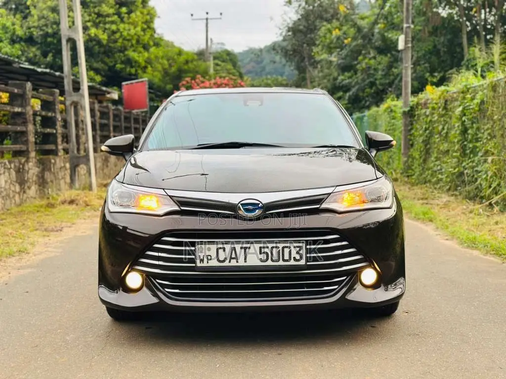 Toyota Axio G Grade 2016 Car (Used)