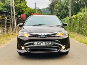 Toyota Axio G Grade 2016 Car (Used)