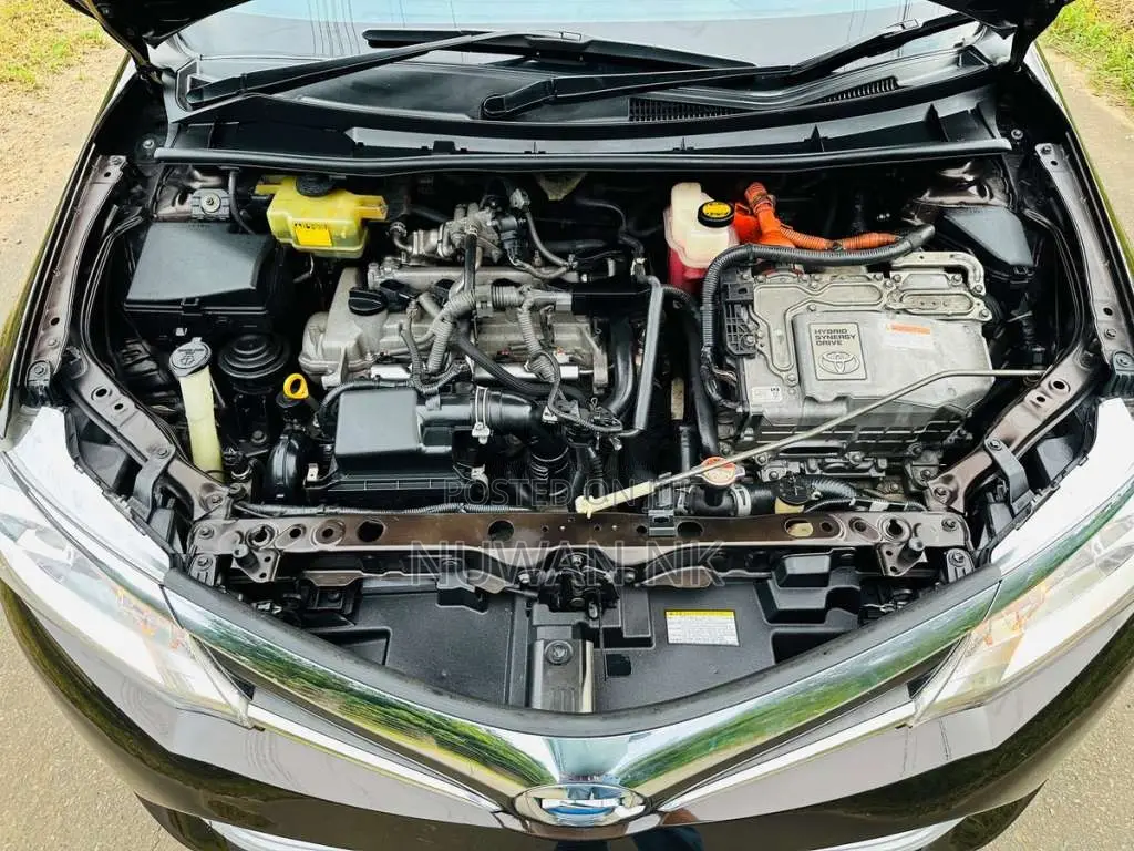 Toyota Axio G Grade 2016 Car (Used)
