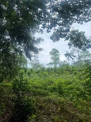 Land for Sale නාවලපිටිය