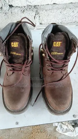 Caterpillar (Cat)