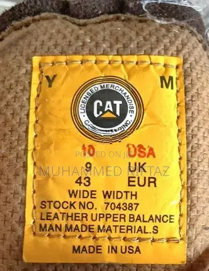 Caterpillar (Cat)