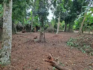බැලුම්මහරින් පර්චස් 12ක් ඉඩමක් ER 15103