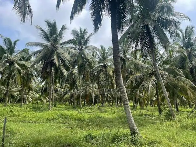 14 Acres Coconut Estate with Milk Factry for Sale- Anamaduwa
