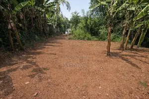 Land For Sale In Madapatha, Piliyandala - DP008LS