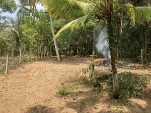 13.3 Perch Land For Sale – Imbulgoda, Kadawatha