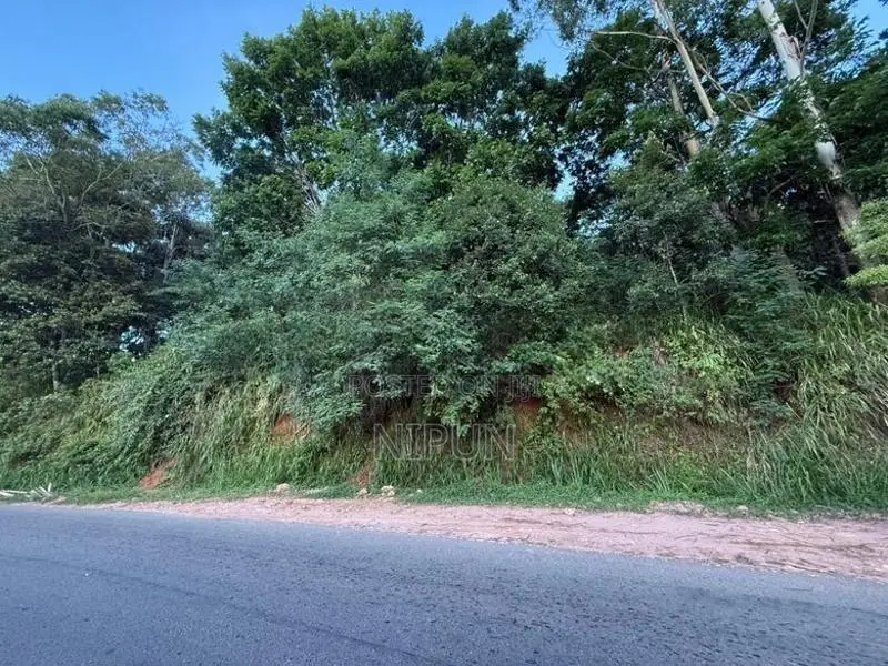 Land for Rent in Mirahawatta