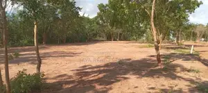 ගෙවීම් පහසුකම් සහිත තංගල්ල ඉඩමක්