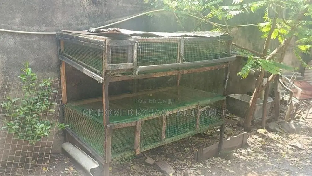 Quail Cage