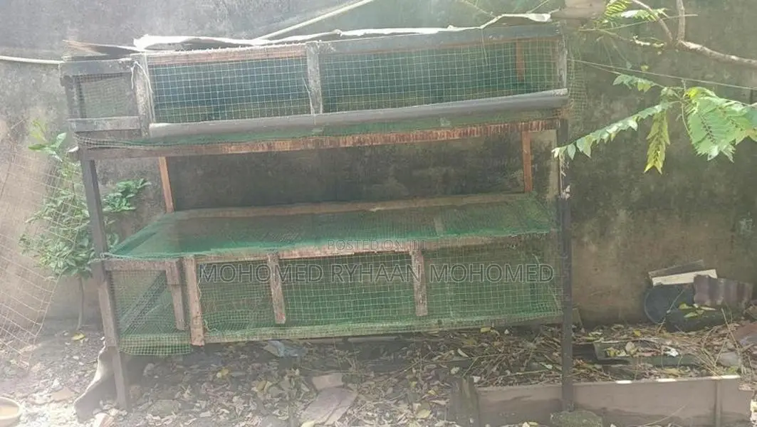 Quail Cage