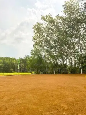 Valuable Lands For Sale In Koralaima Horana